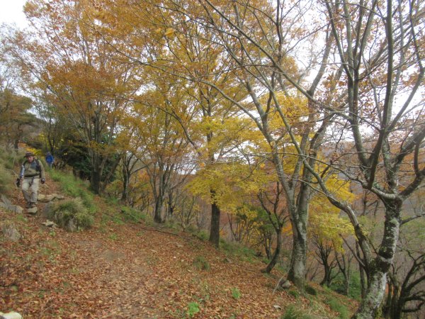 登山道